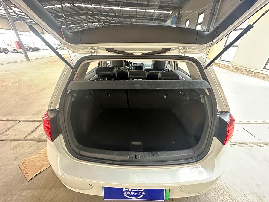 Volkswagen Golf Pure Electric 2020 car image #10