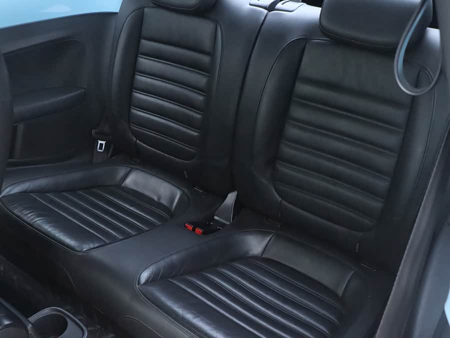 Volkswagen Beetle 2014 immagine di auto #10