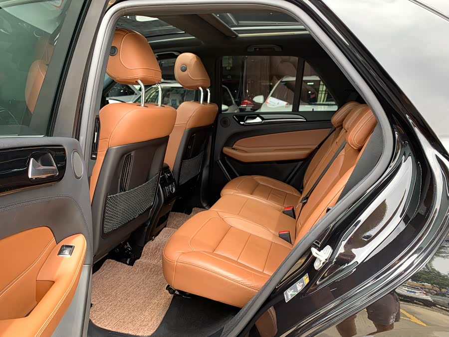 Mercedes-Benz GLE Class New Energy 2018 car image #10