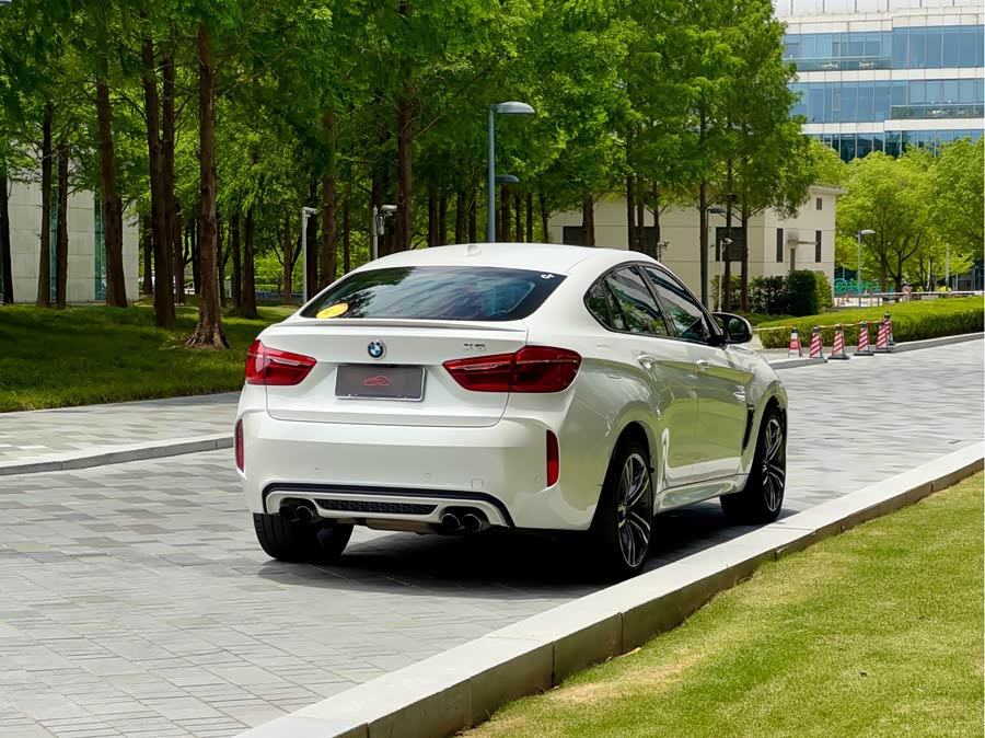 BMW X6 M 2017 car image #10