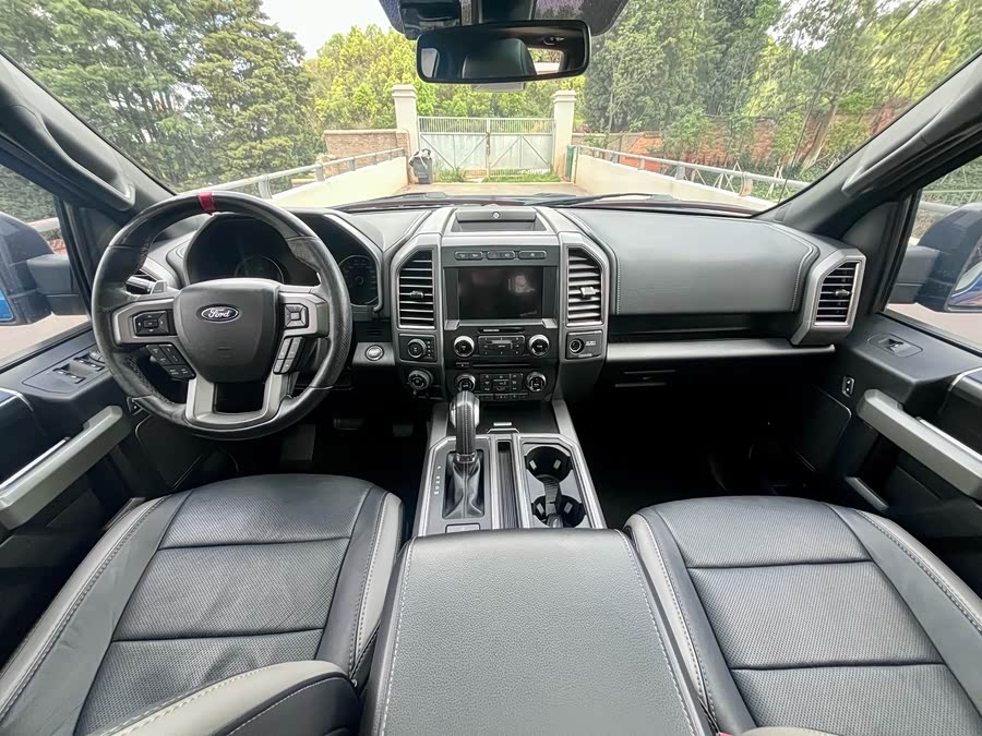 Ford F-150 Raptor 2018 car image #10