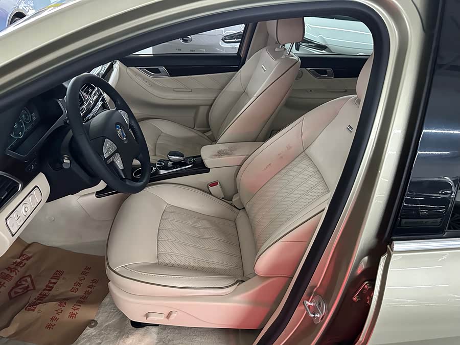 Denza DENZA 2016 #10 Denza DENZA 2016 imagen de coche #10