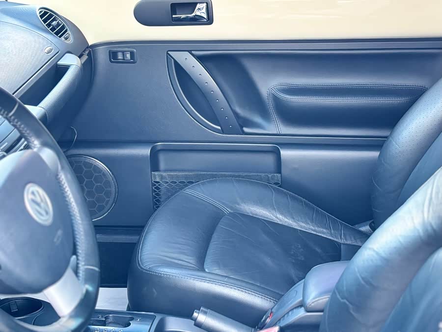 Volkswagen Beetle 2009 immagine di auto #10