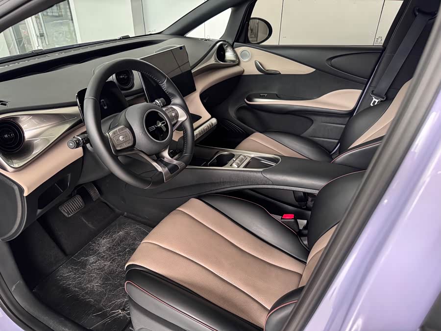 BYD Dolphin 2024 صورة سيارة #10