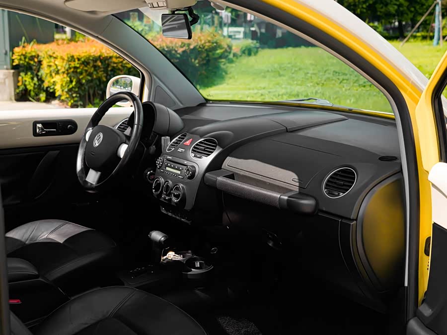 Volkswagen Beetle 2010 #10 Volkswagen Beetle 2010 car image #10