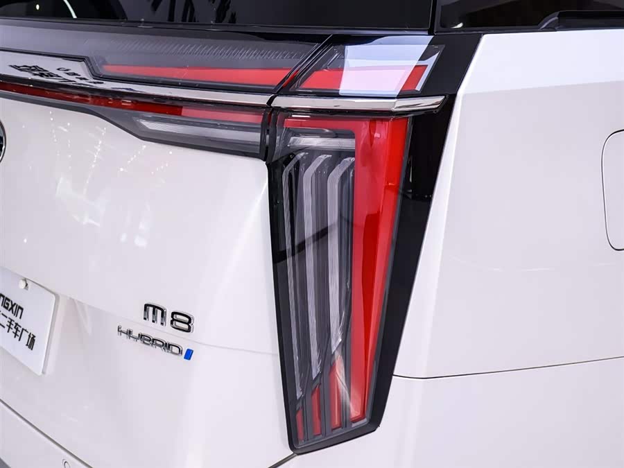 广汽传祺 传祺M8 2023 汽车图片 #10