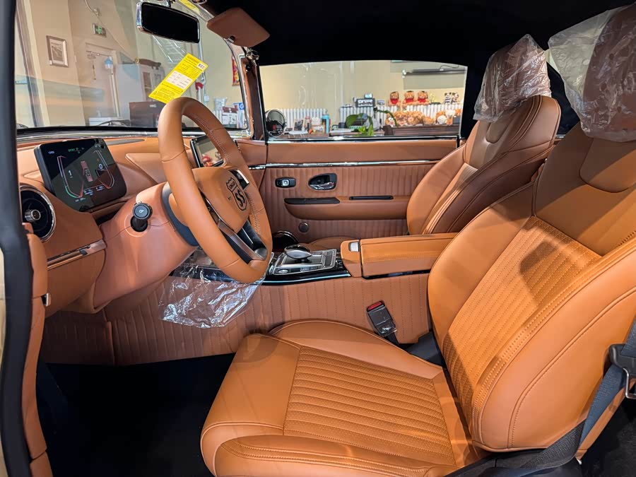 SONGSAN MOTORS SS DOLPHIN 2023 汽车图片 #10