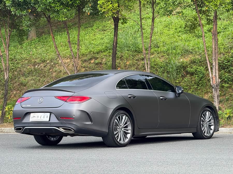 奔驰 奔驰CLS 2021 汽车图片 #10