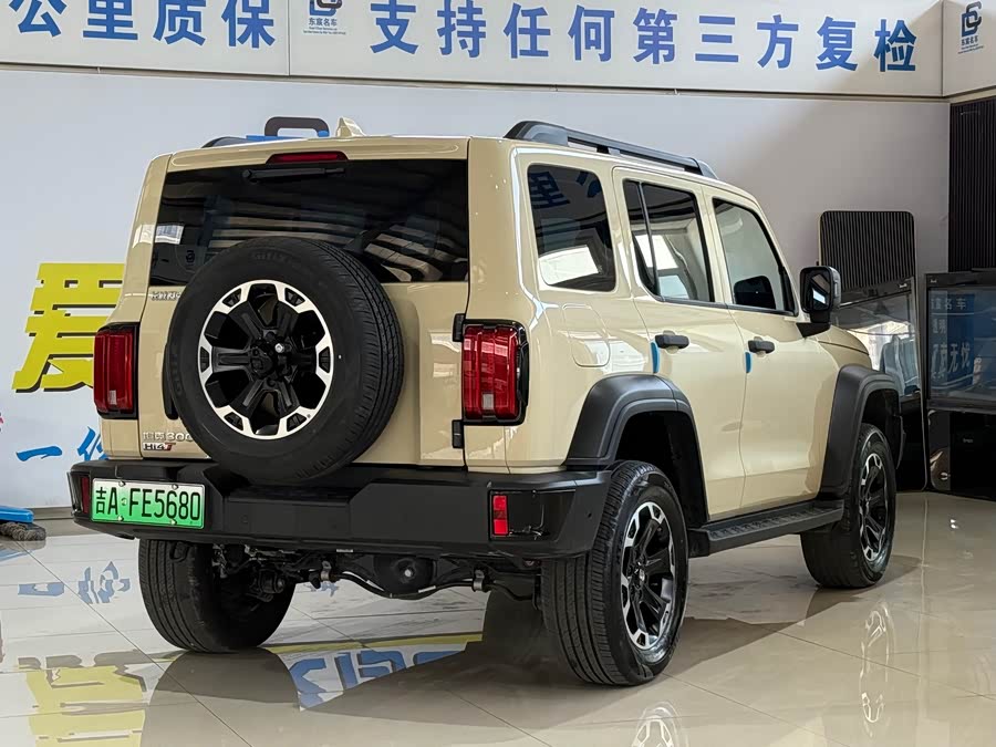 Tank 300 New Energy 2025 #10 Tank 300 New Energy 2025 car image #10