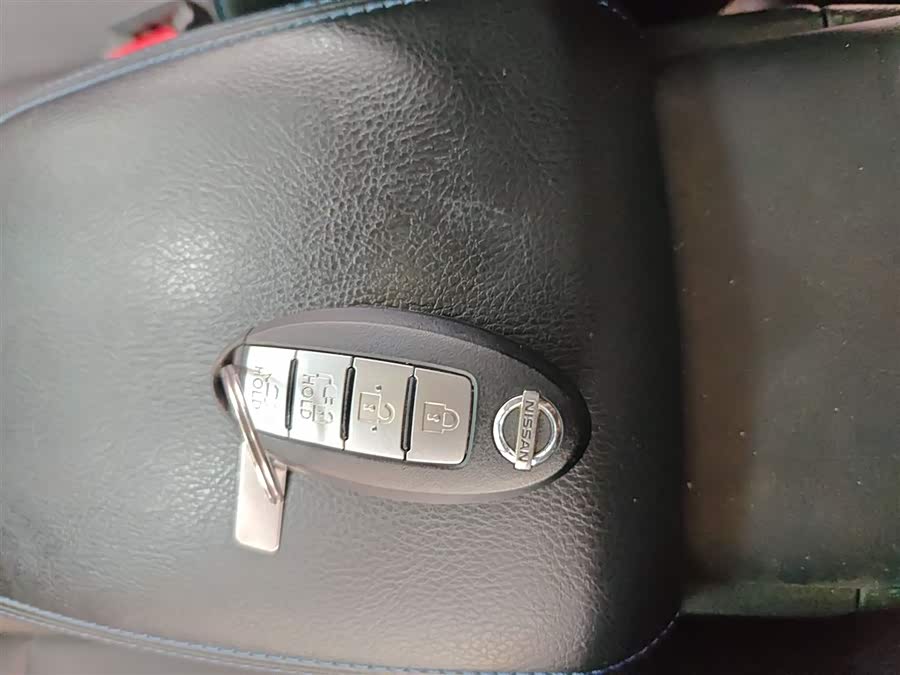 日产 轩逸·纯电 2020 汽车图片 #10