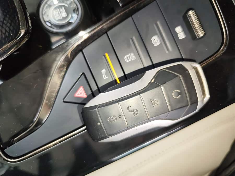 BYD e9 2021 car image #10