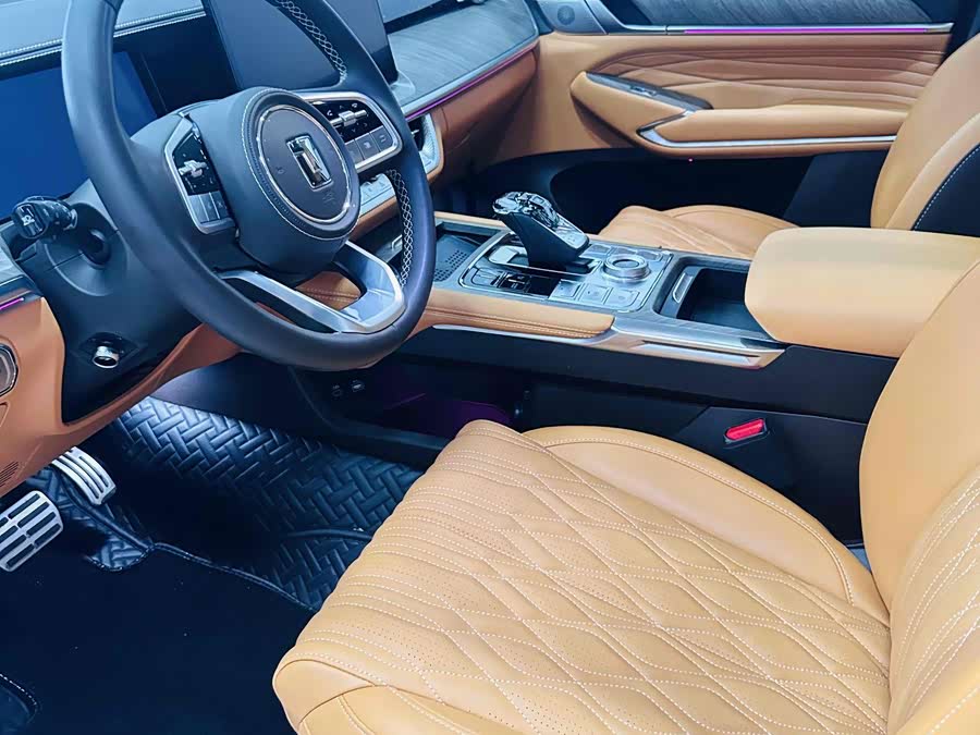 Tank 500 New Energy 2024 car image #10