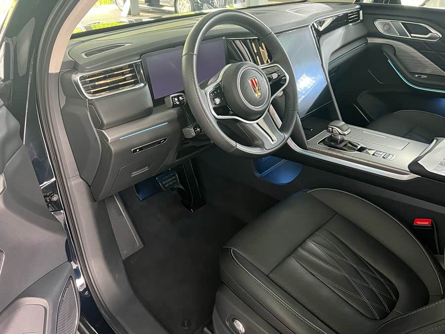 HongQi HS7 PHEV 2024 immagine di auto #10