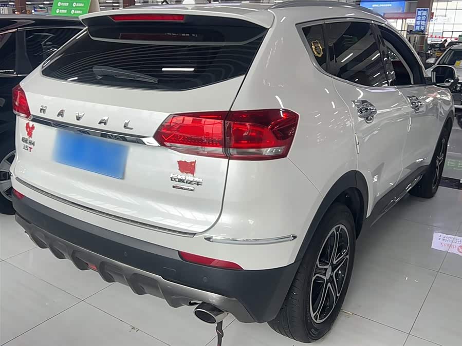 Haval H4 2020 immagine di auto #10