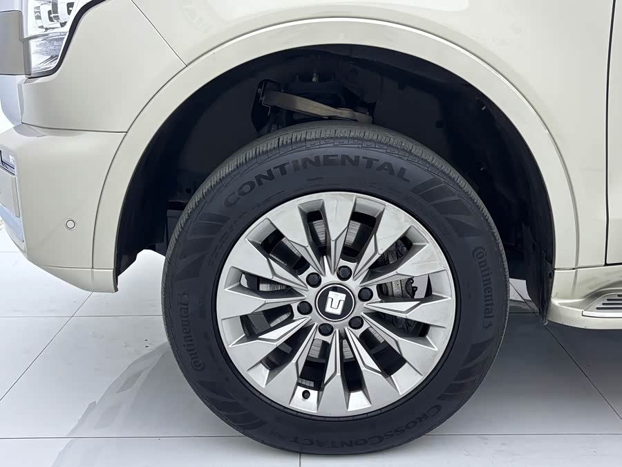 Tank 500 New Energy 2024 immagine di auto #10