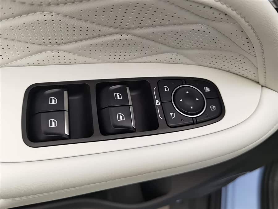 Tank 300 New Energy 2024 car image #10