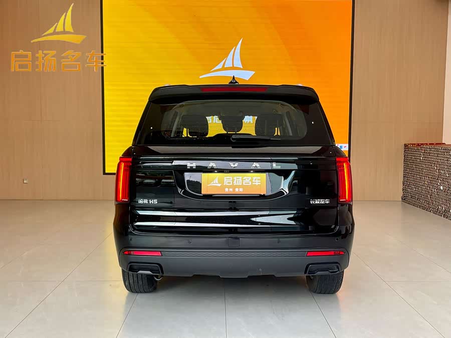 Haval H5 2024 car image #10