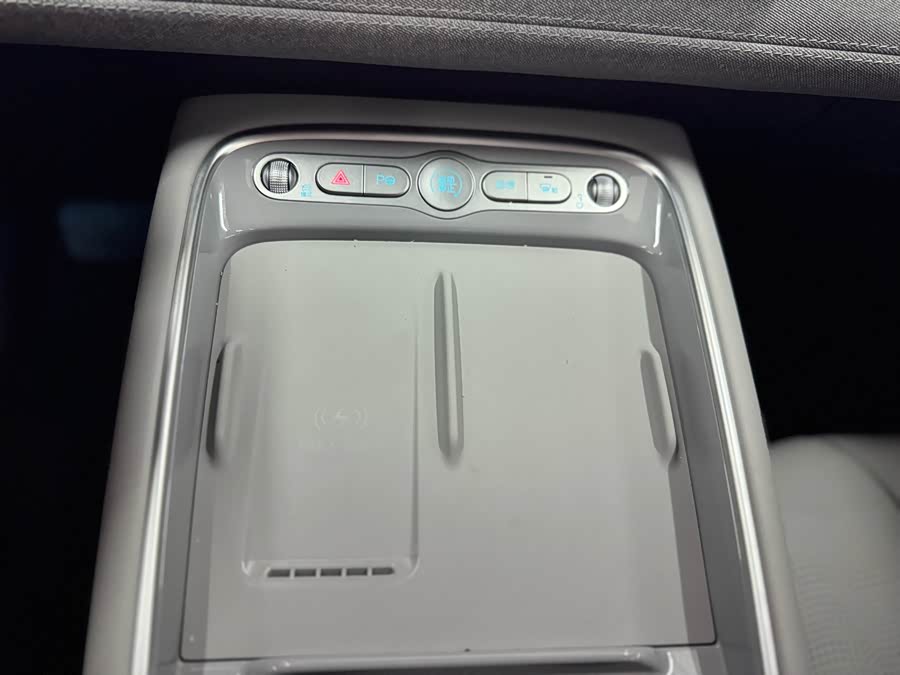 BYD Sea Lion 05 EV 2025 car image #10