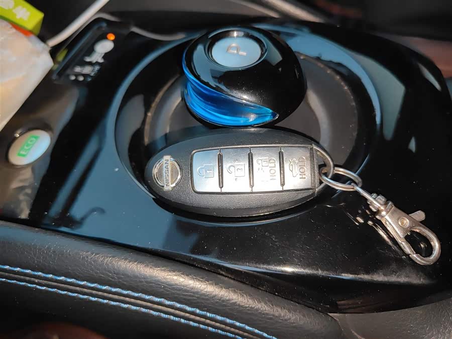 日产 轩逸·纯电 2020 汽车图片 #10