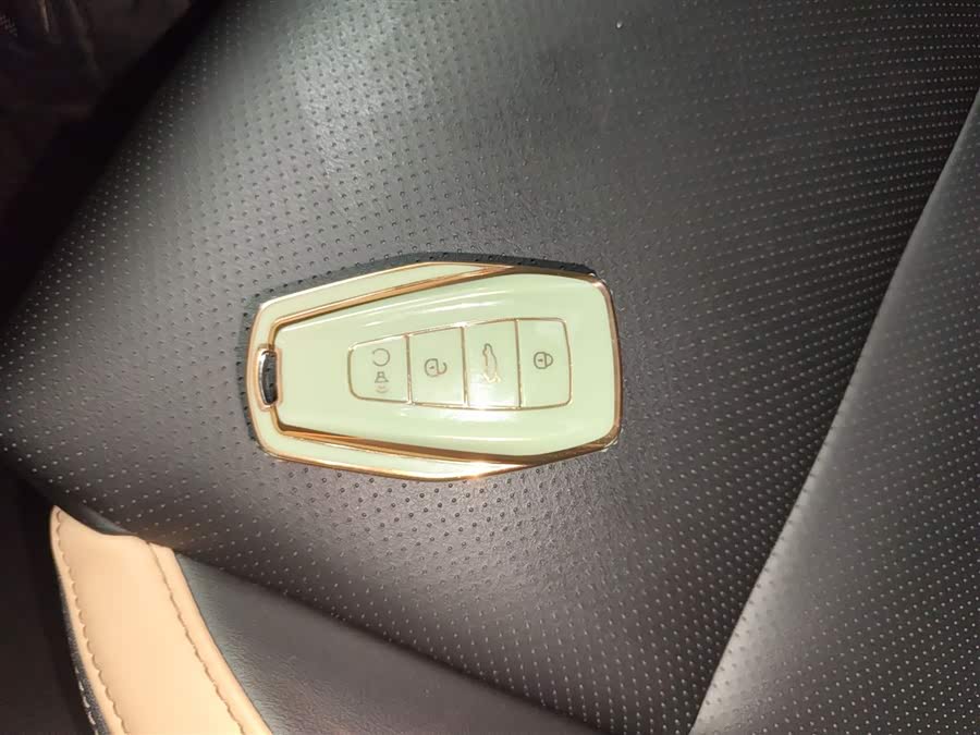 GEELY OkavangoPRO 2024 car image #10