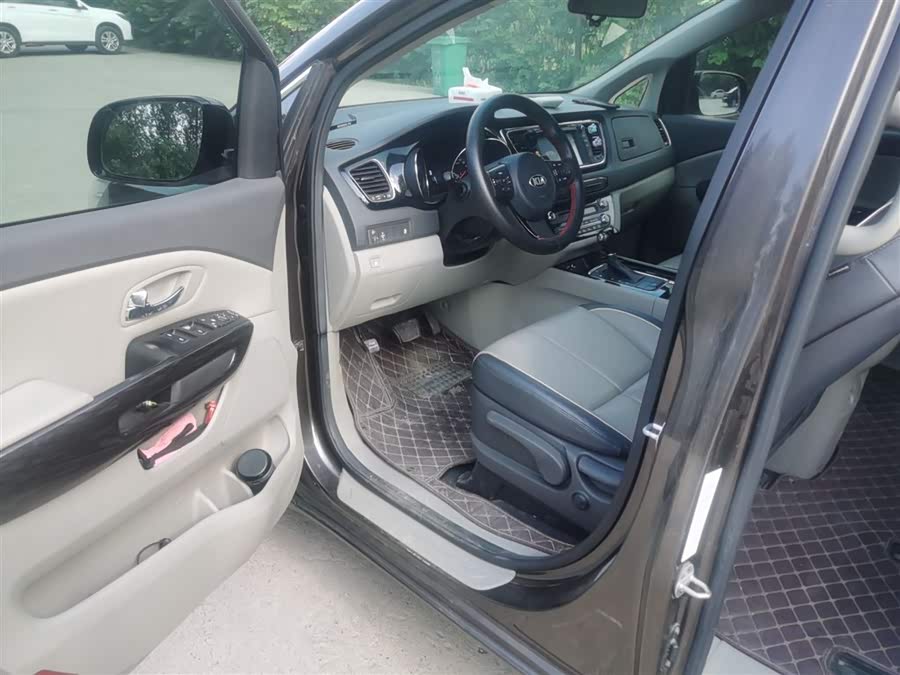 Kia Carnival (Imported) 2016 car image #10