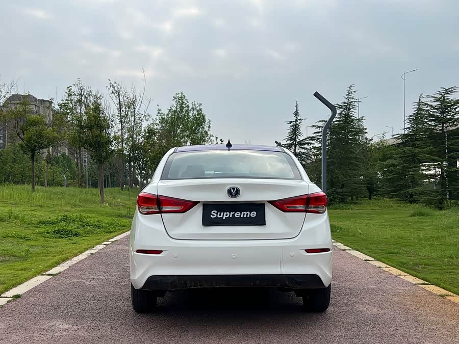 长安 悦翔 2020 汽车图片 #10