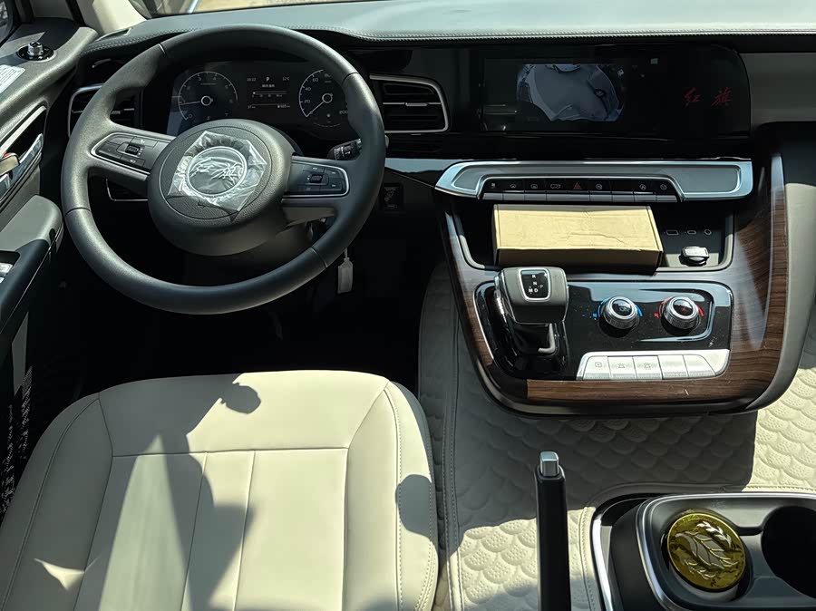 HongQi GuoYue صورة سيارة #10