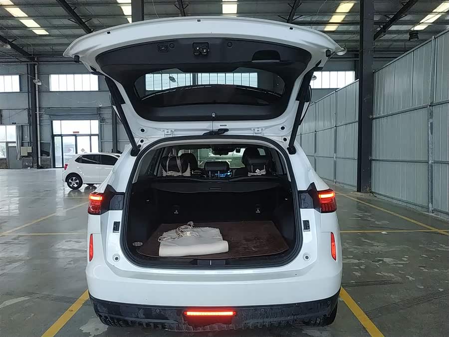 Haval H6 2022 car image #10