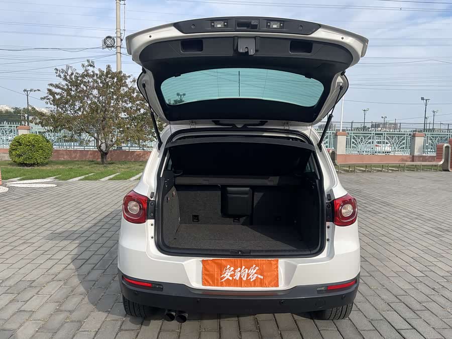 大众 Tiguan 2009 #10 大众 Tiguan 2009 汽车图片 #10