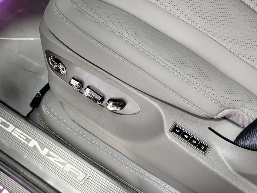 Denza N9 2025 car image #10