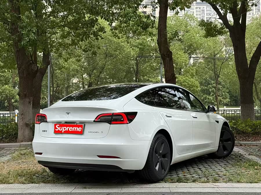 特斯拉 Model 3 2021 汽车图片 #10