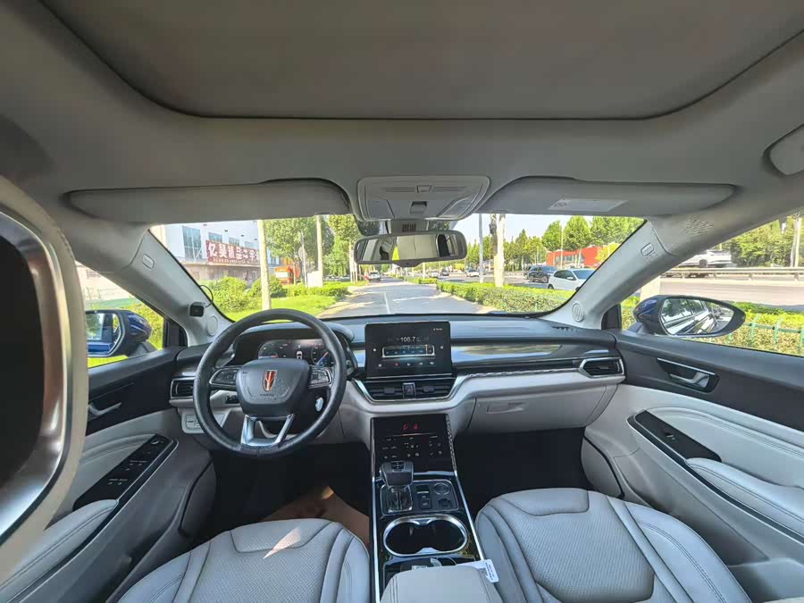 HongQi E-HS3 2019 car image #10