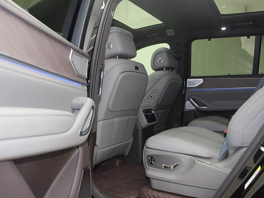 Denza N9 2025 car image #10