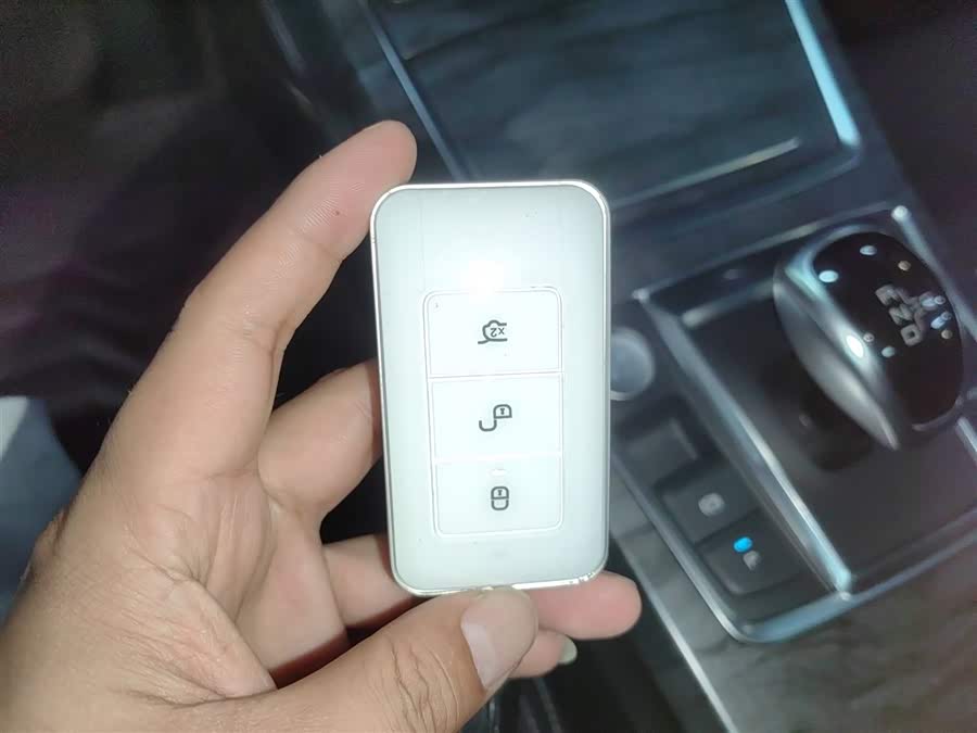 BYD Qin Pro New Energy 2019 car image #10