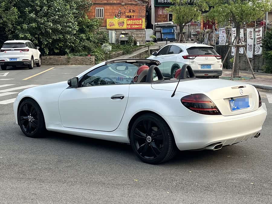 Mercedes-Benz SLK Class 2008 car image #10