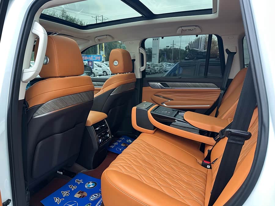 Tank 500 New Energy 2024 car image #10