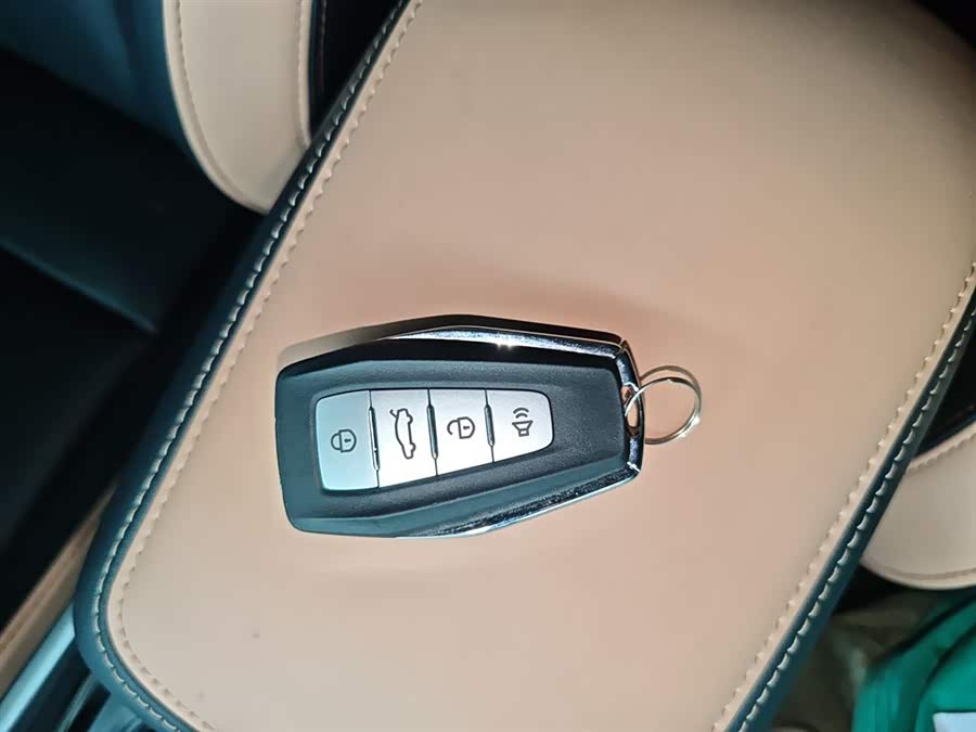 GEELY OkavangoPRO 2024 #10 GEELY OkavangoPRO 2024 car image #10