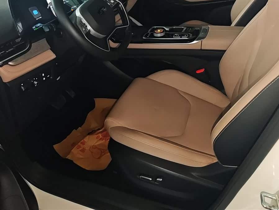 JAC QX PHEV 2023 car image #10