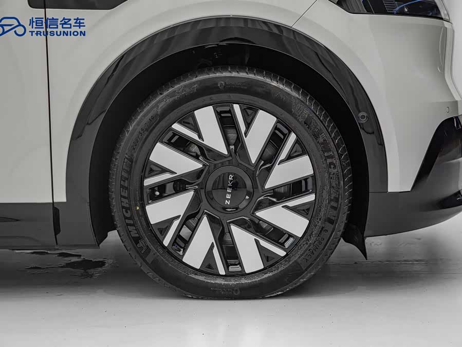 极氪 极氪MIX 2024 汽车图片 #10