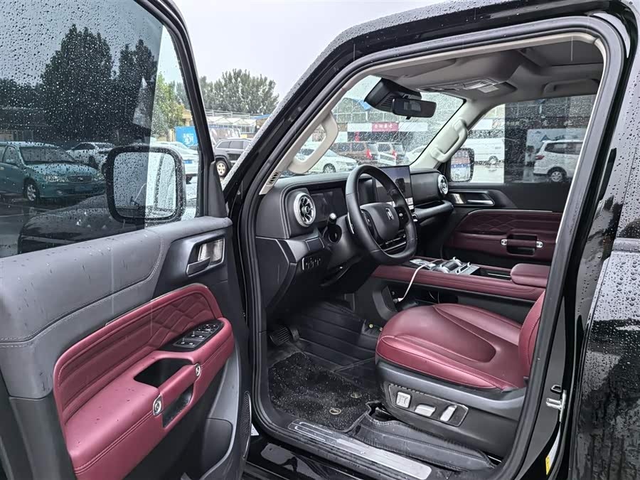 Tank 300 New Energy 2025 car image #10