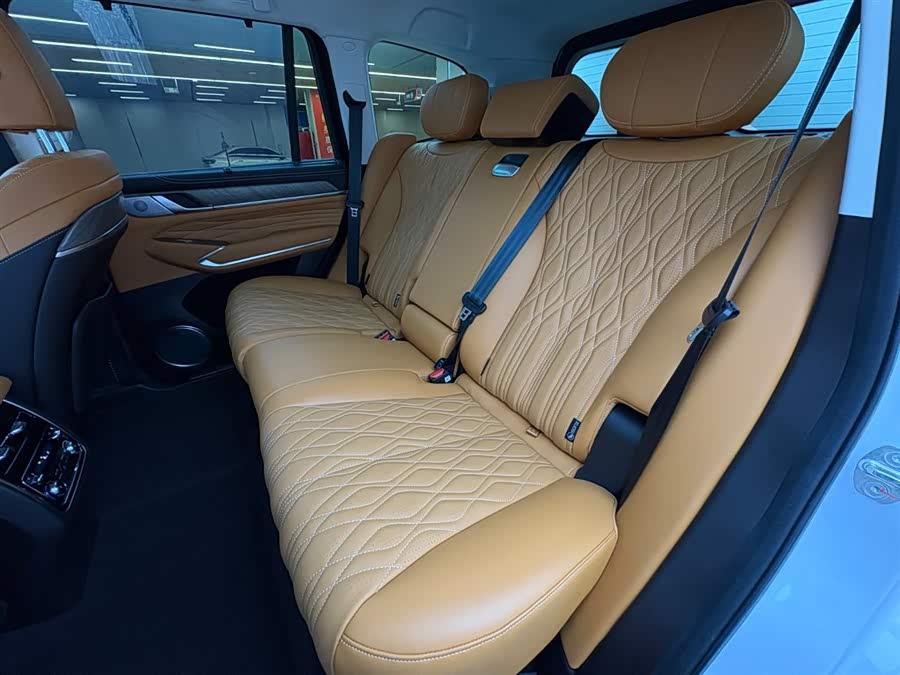 Tank 500 New Energy 2024 immagine di auto #10