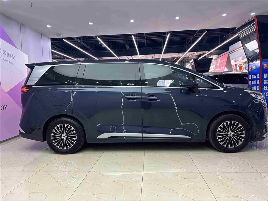 Denza D9 2023 imagem de carro #10