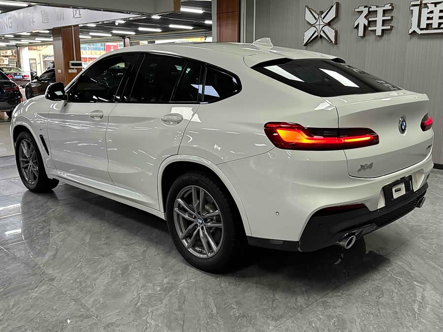 BMW X4 2020 car image #10
