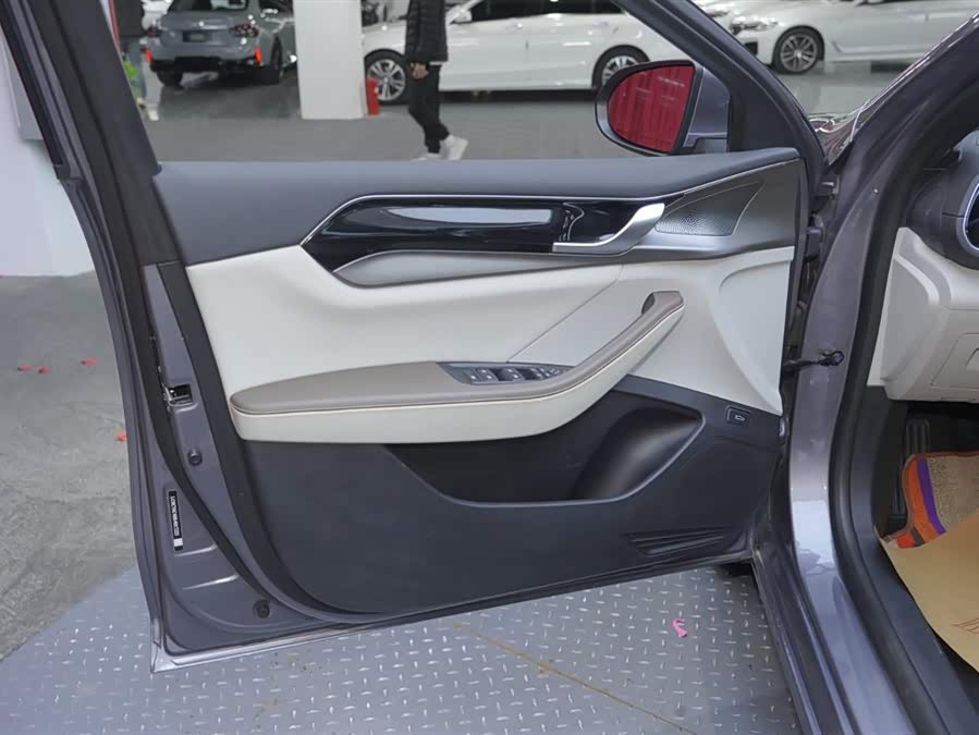 BYD Qin Plus 2024 immagine di auto #10