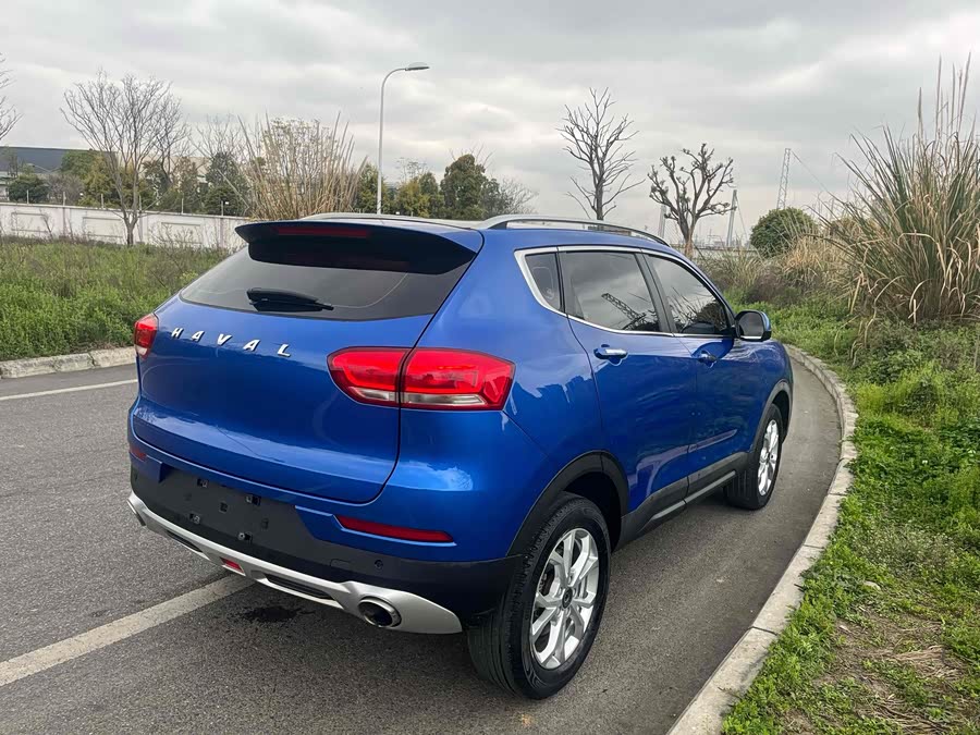 Haval H2s 2019 imagen de coche #10