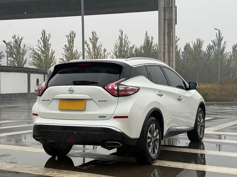 日产 楼兰 2016 汽车图片 #10