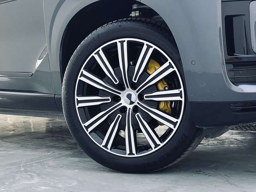 Denza N9 2025 car image #10