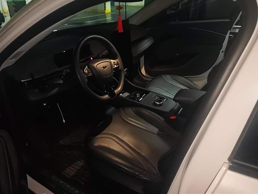 Ford Mustang Mach-E 2022 #10 Ford Mustang Mach-E 2022 car image #10