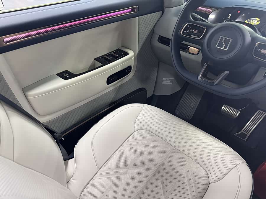 极氪 极氪MIX 汽车图片 #10