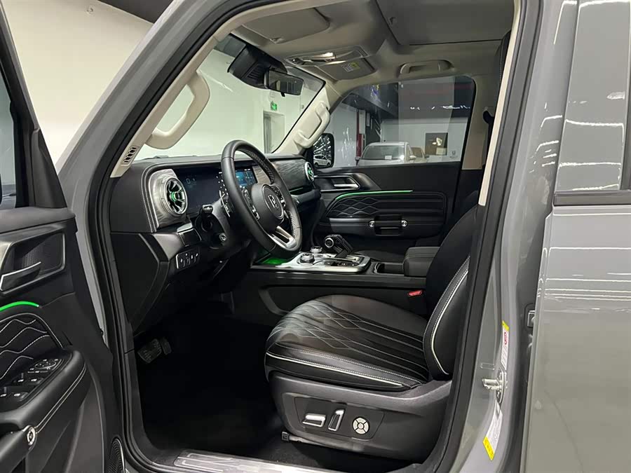 Tank 300 2021 car image #10